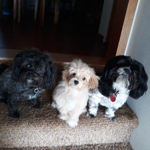 Meet your Posher, Tina